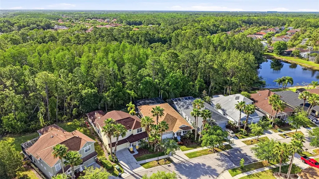 8123 Camella Lane Tampa FL 33647