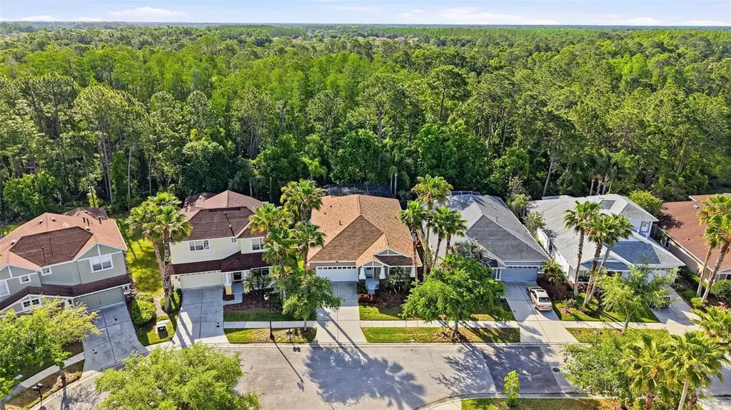 8123 Camella Lane Tampa FL 33647