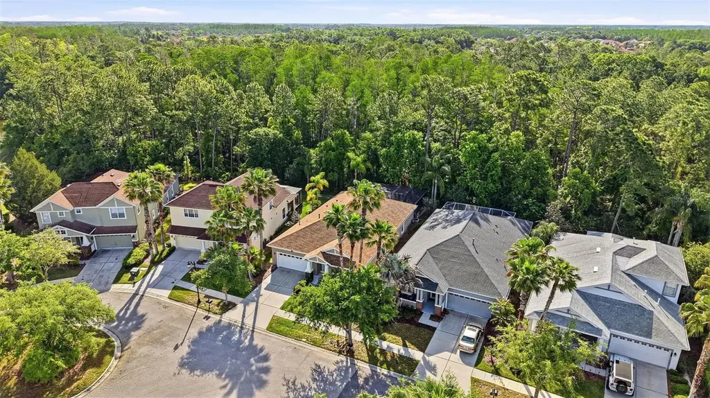 8123 Camella Lane Tampa FL 33647