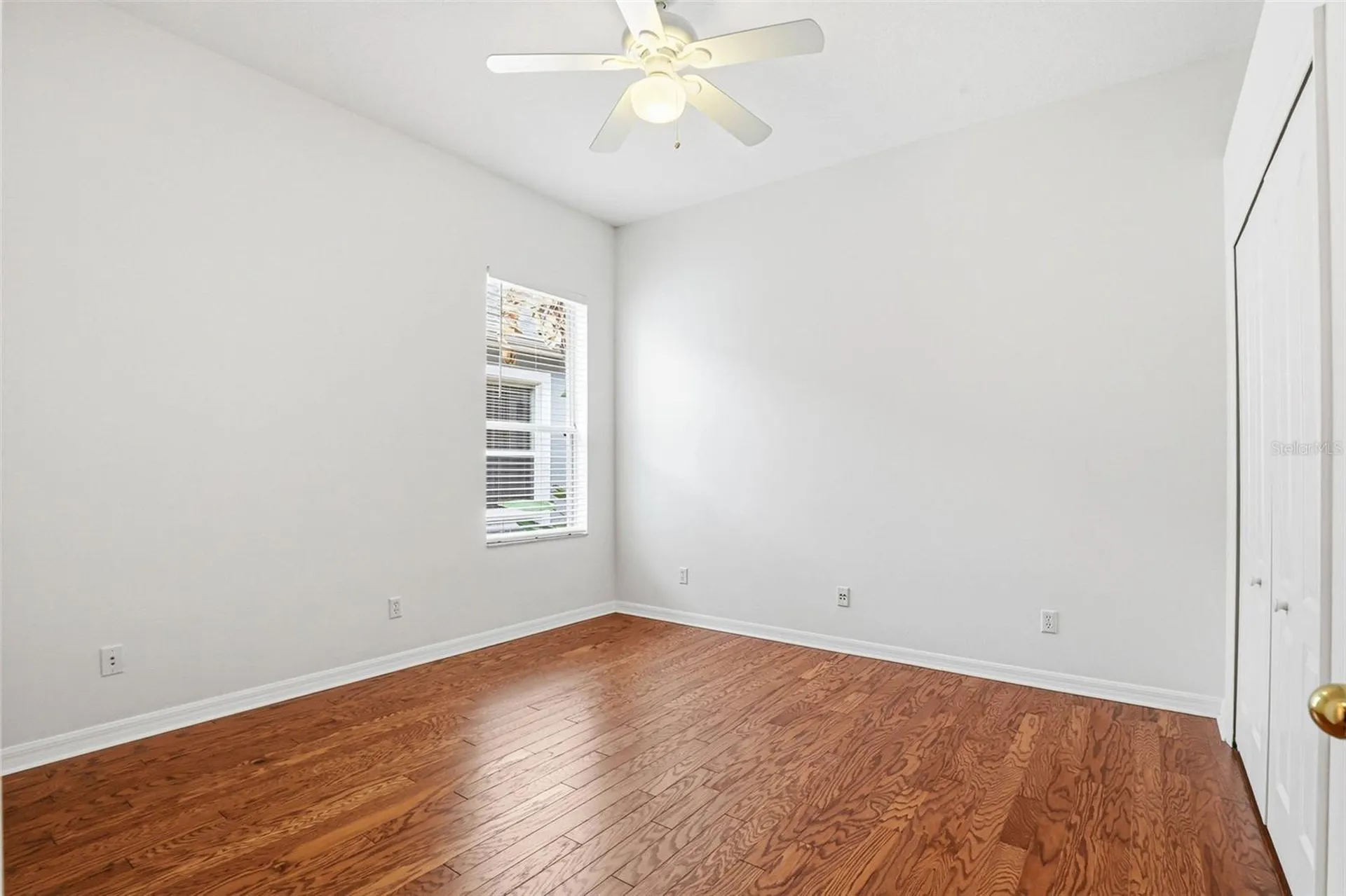 8123 Camella Lane Tampa FL 33647