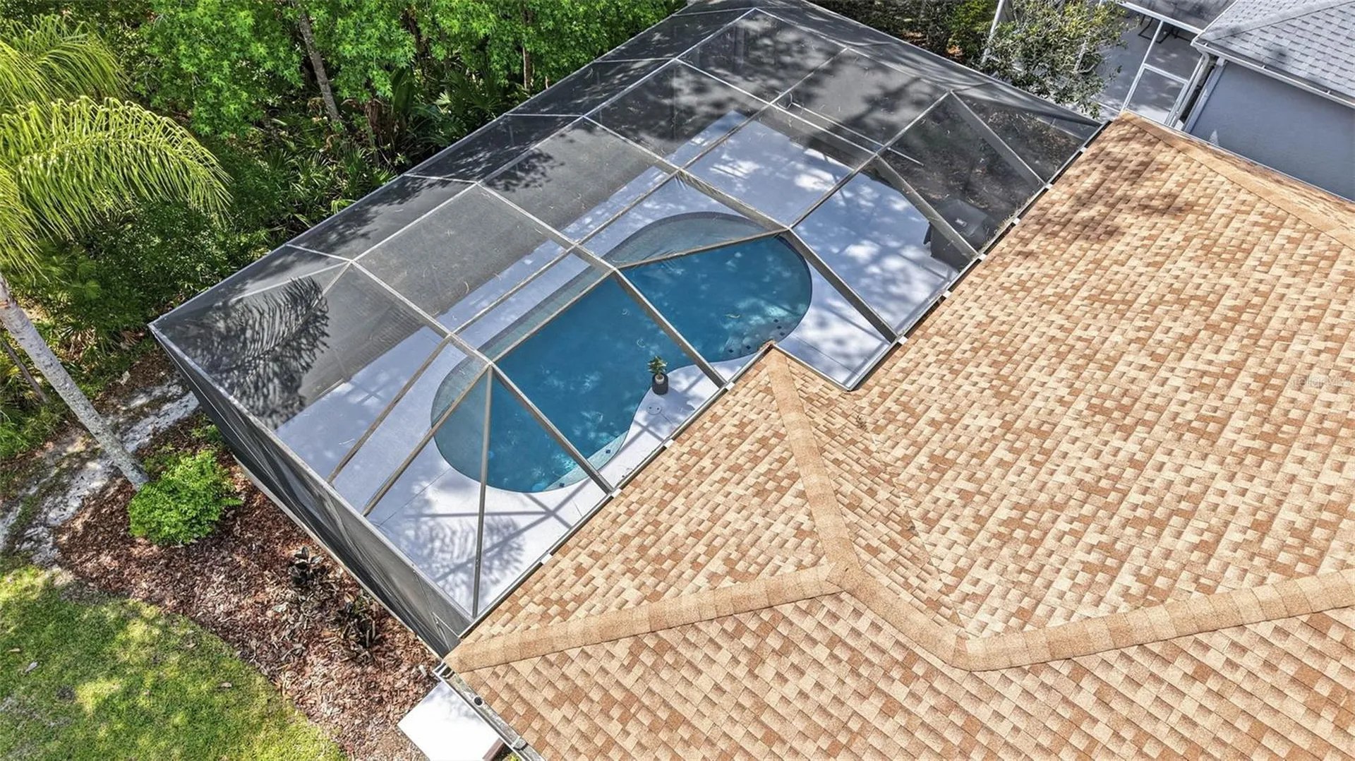 8123 Camella Lane Tampa FL 33647