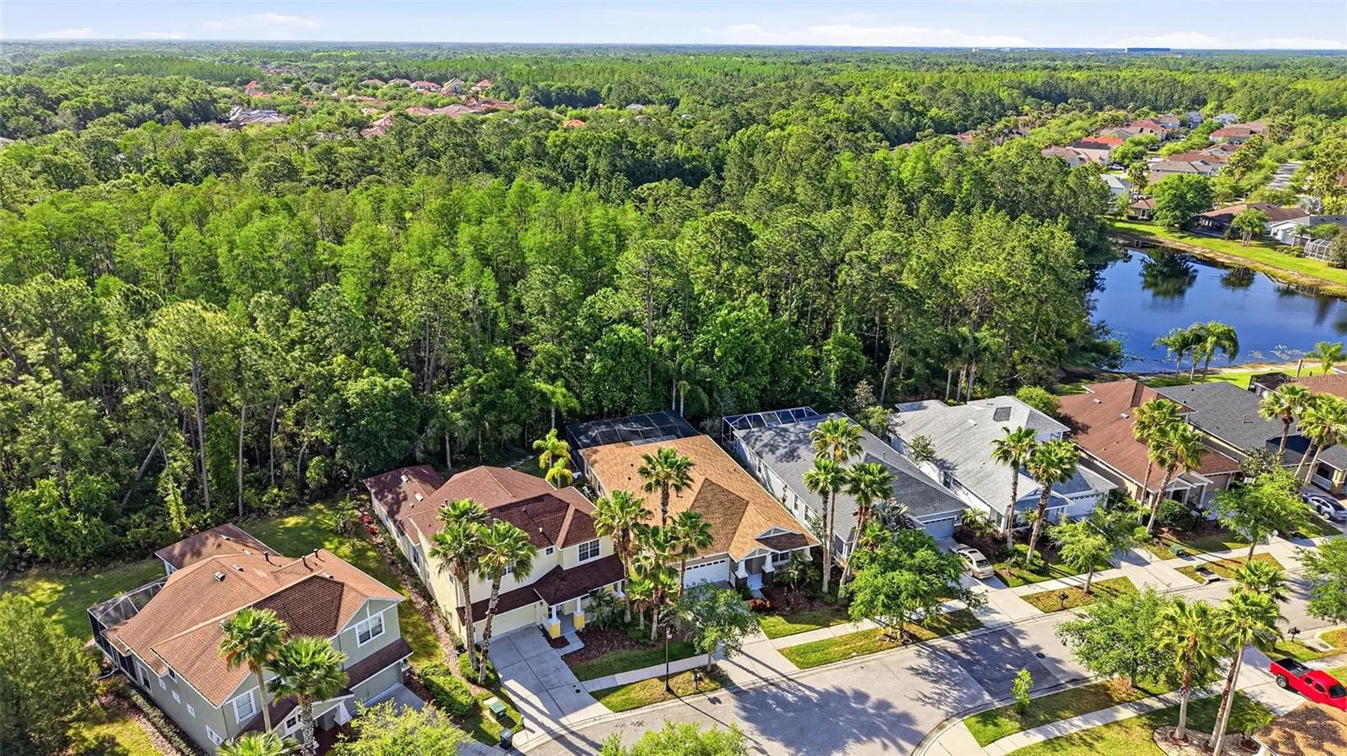 8123 Camella Lane Tampa FL 33647