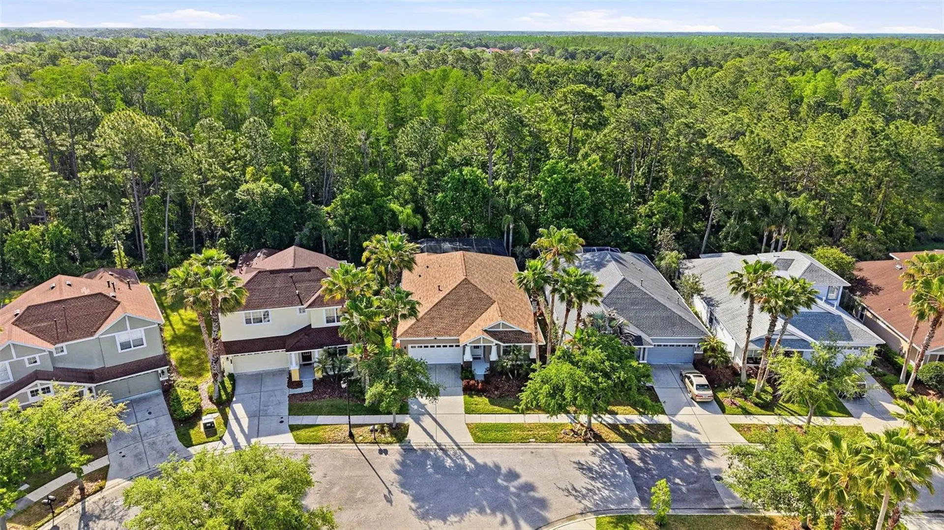 8123 Camella Lane Tampa FL 33647