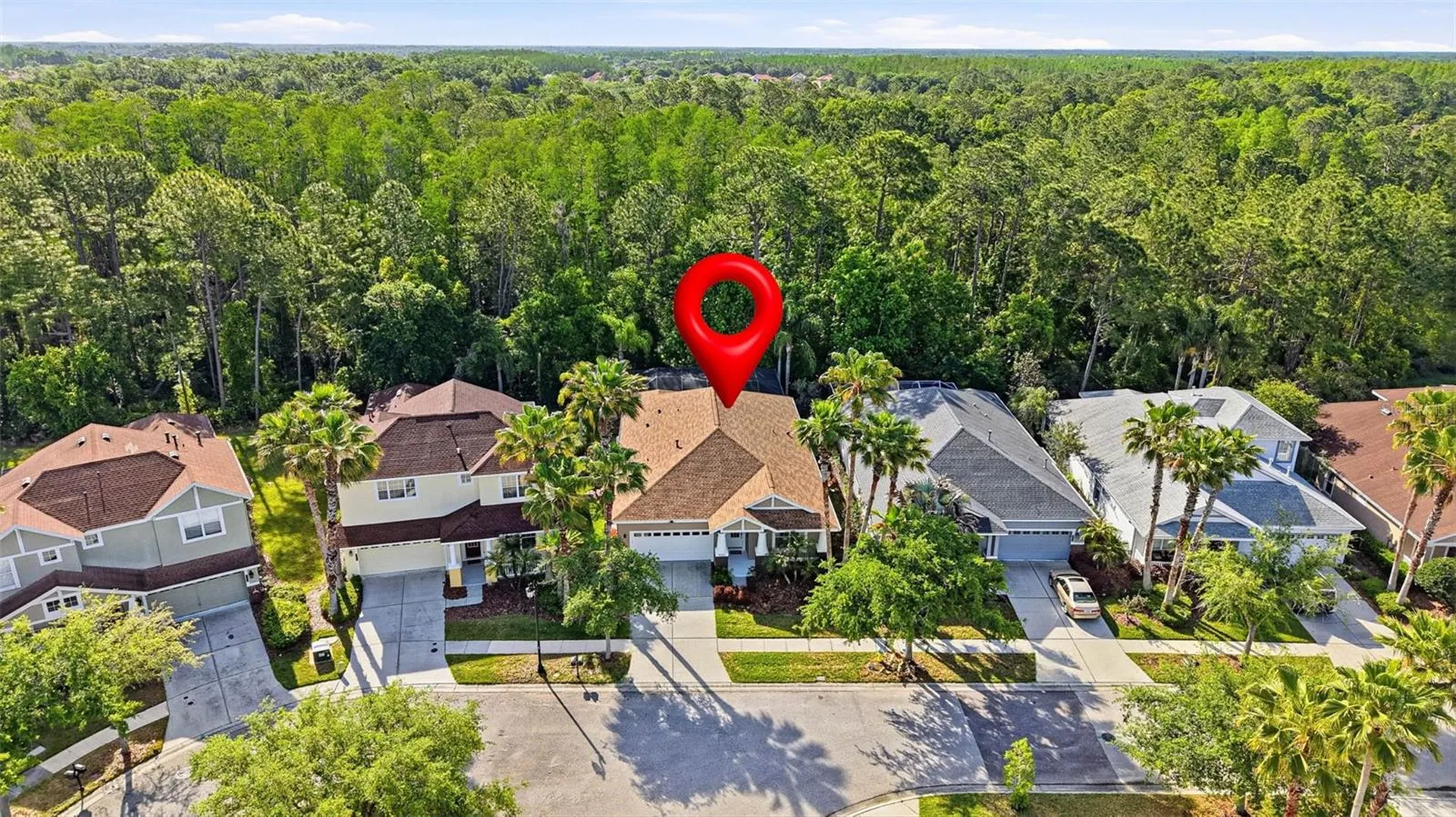 8123 Camella Lane Tampa FL 33647