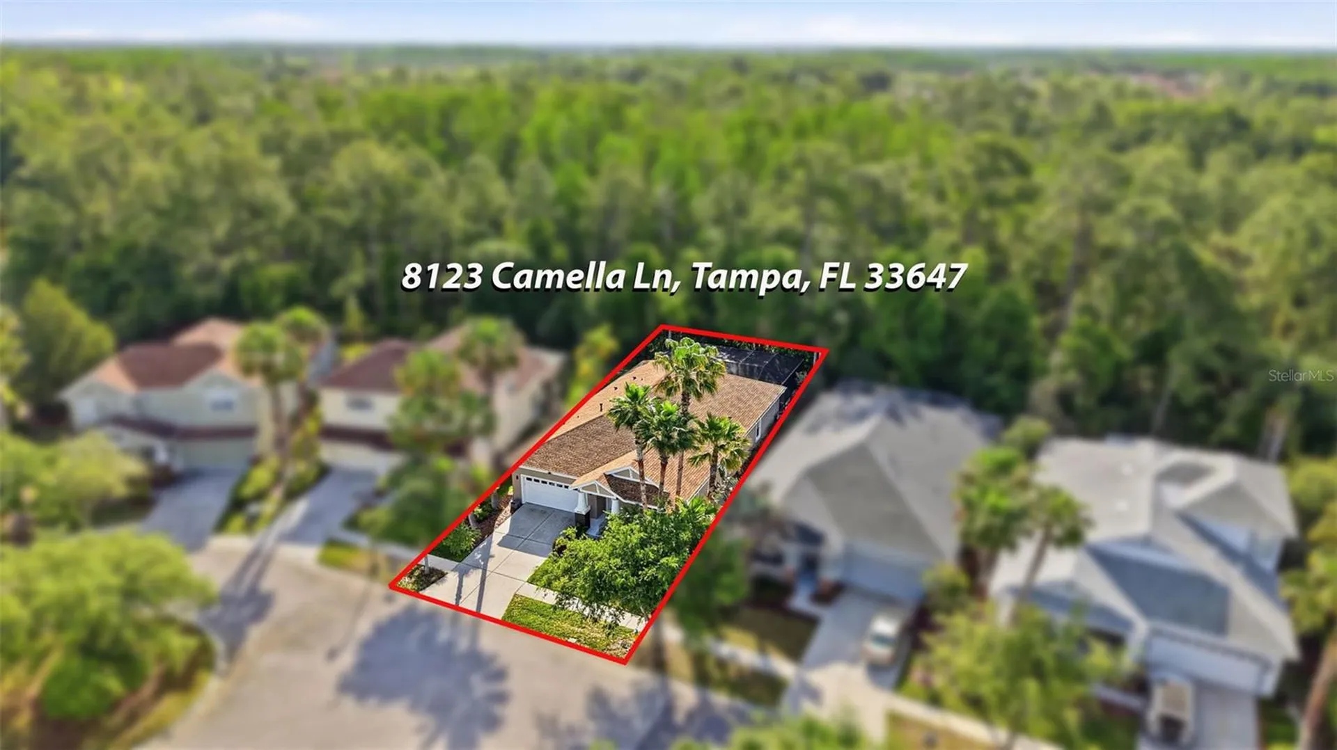 8123 Camella Lane Tampa FL 33647