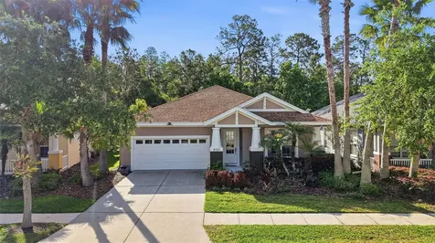 8123 Camella Lane Tampa FL 33647