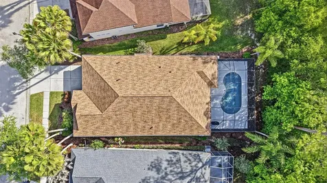 8123 Camella Lane Tampa FL 33647