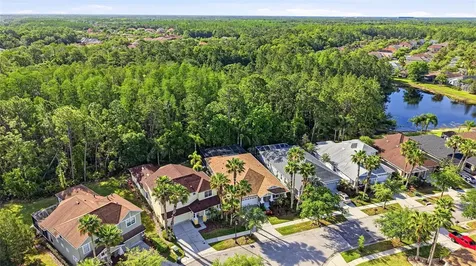 8123 Camella Lane Tampa FL 33647