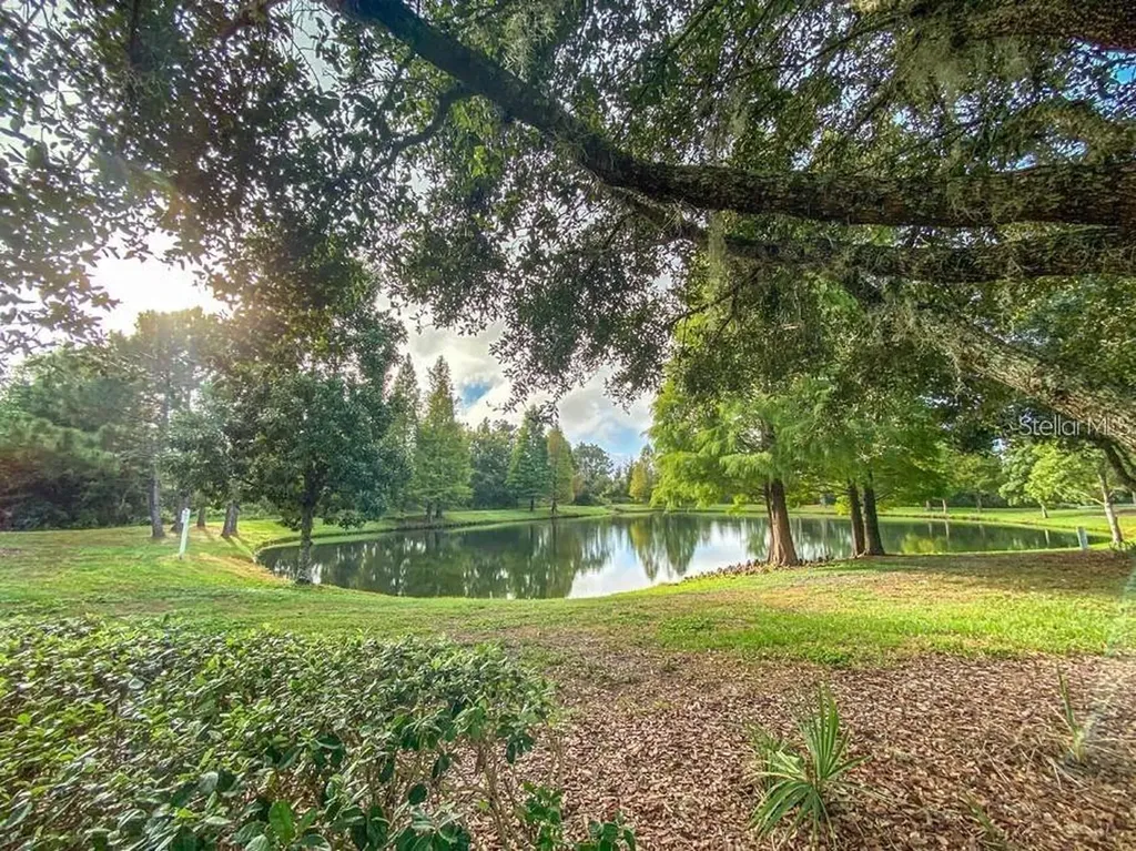 2854 Hilliard Drive Wesley Chapel FL 33543