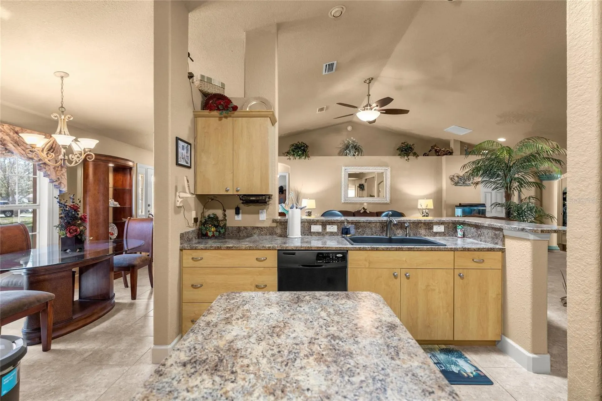 5285 SW 103rd Loop Ocala FL 34476