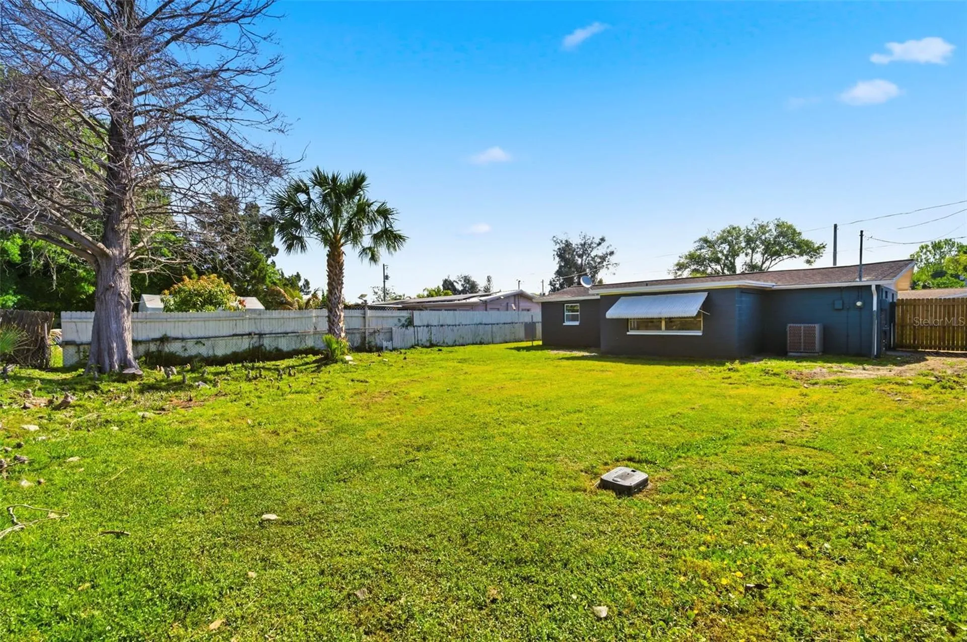 9033 Pegasus Avenue Port Richey FL 34668