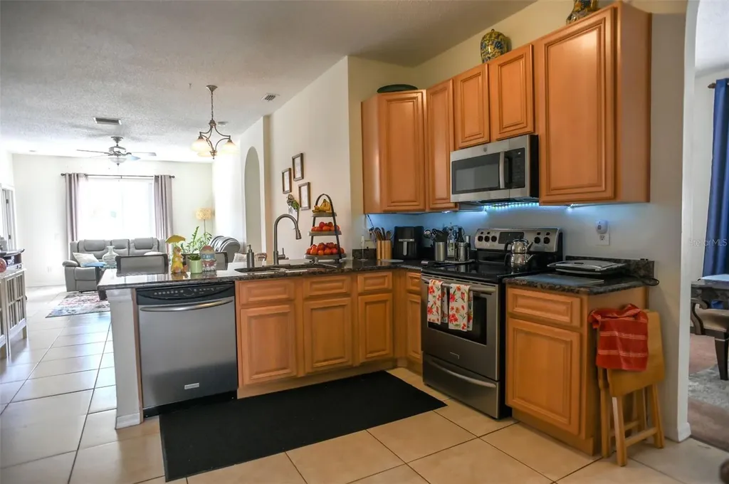 13610 Mere View Drive Odessa FL 33556