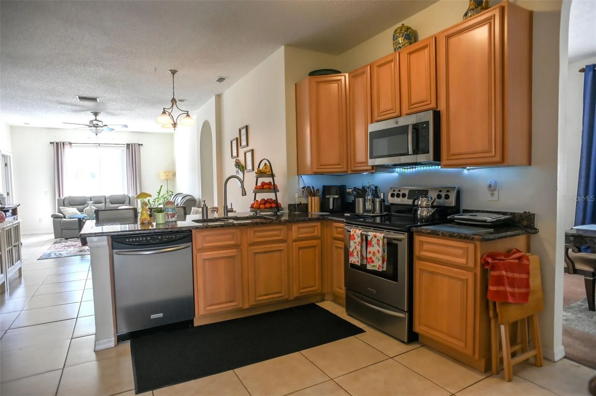 13610 Mere View Drive Odessa FL 33556