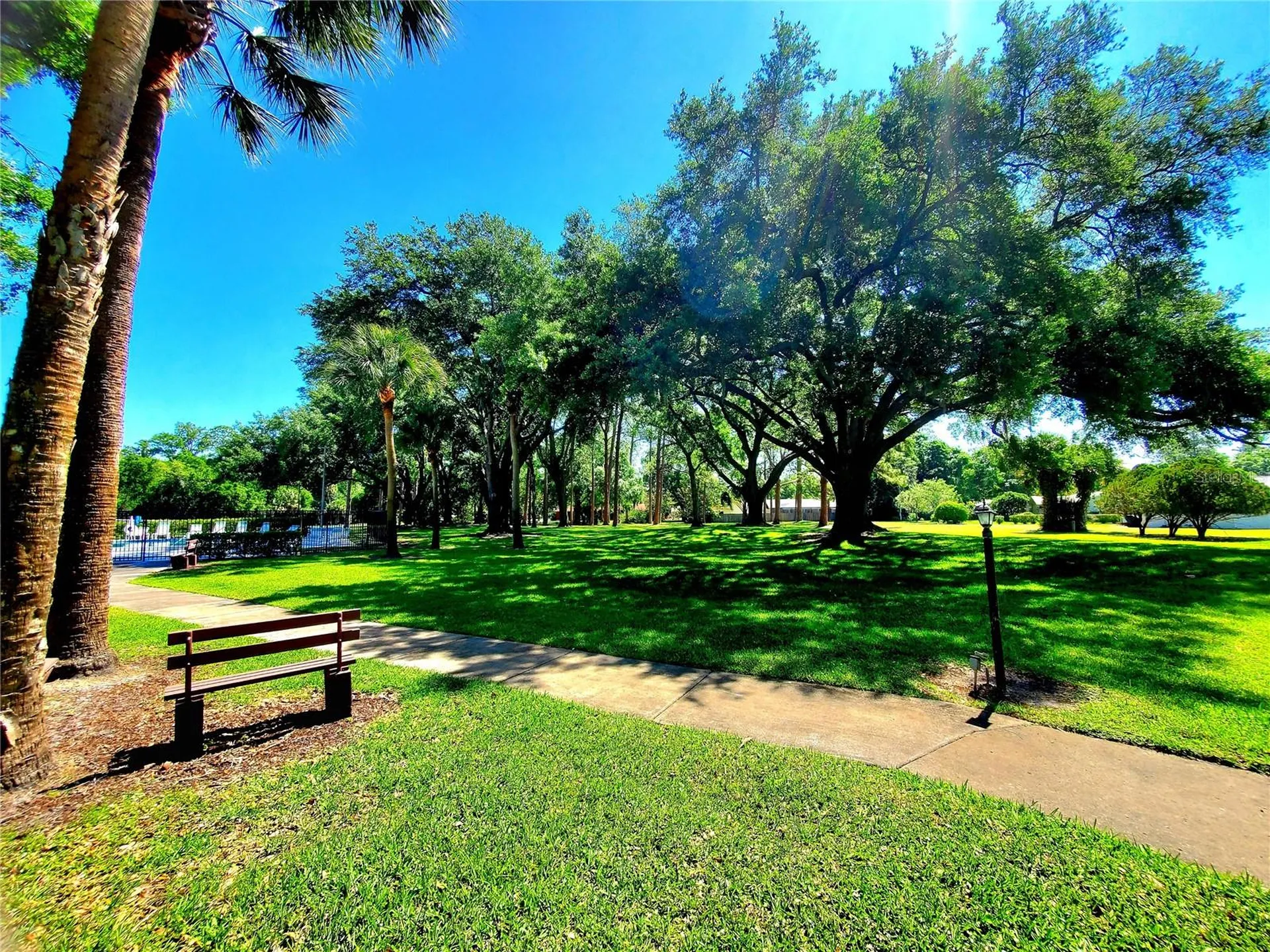 835 Anchorage Lane Palm Harbor FL 34685