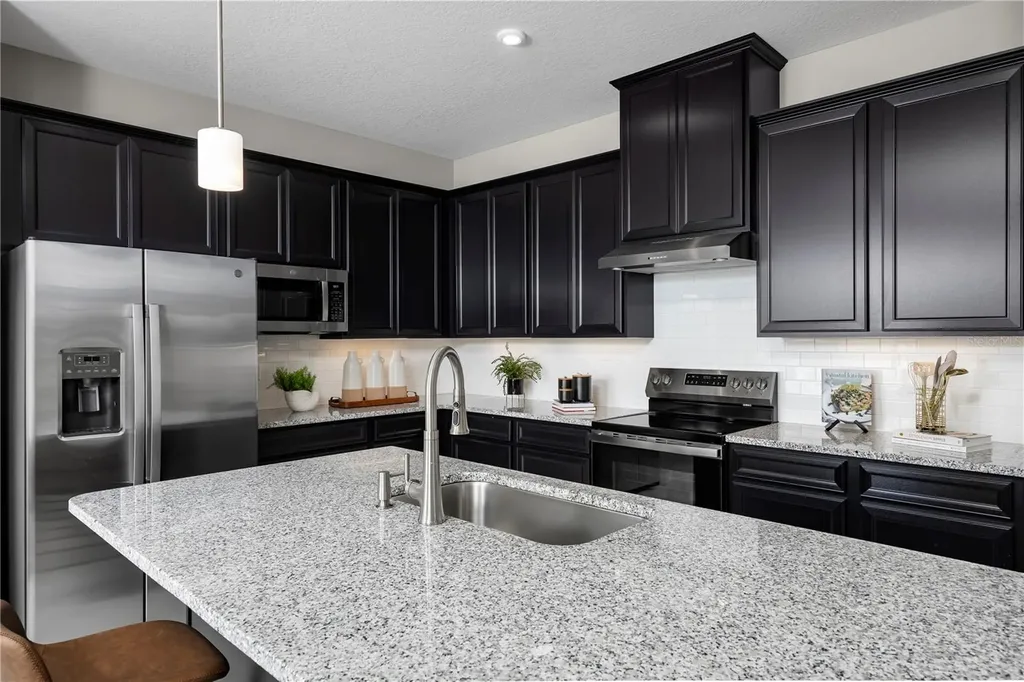 3738 Sky Mountain Alley Apopka FL 32712