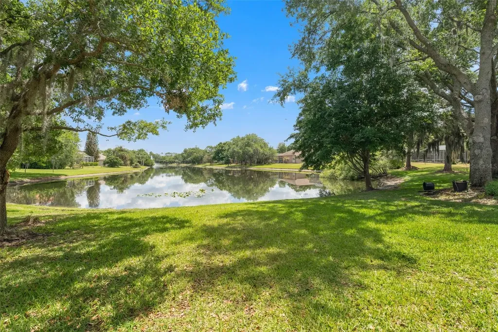 5021 Wesley Drive Tampa FL 33647