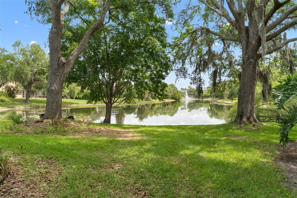 5021 Wesley Drive Tampa FL 33647