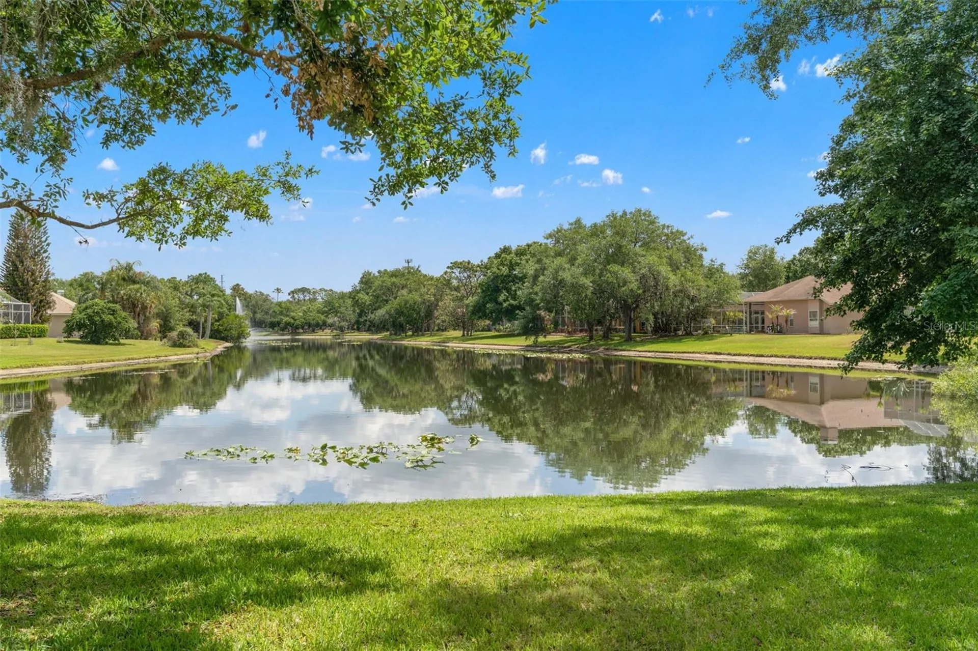5021 Wesley Drive Tampa FL 33647