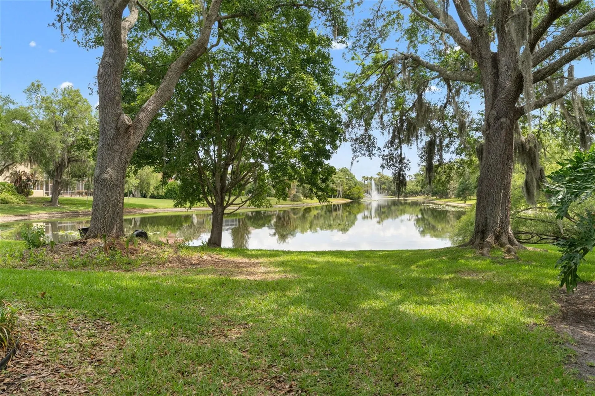 5021 Wesley Drive Tampa FL 33647