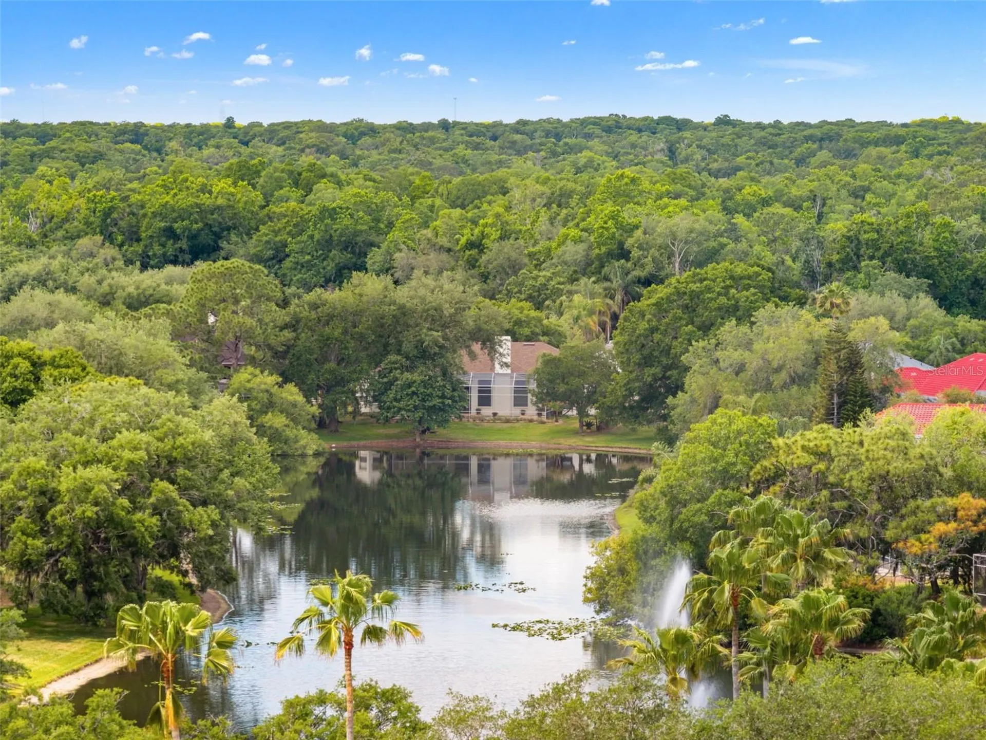 5021 Wesley Drive Tampa FL 33647