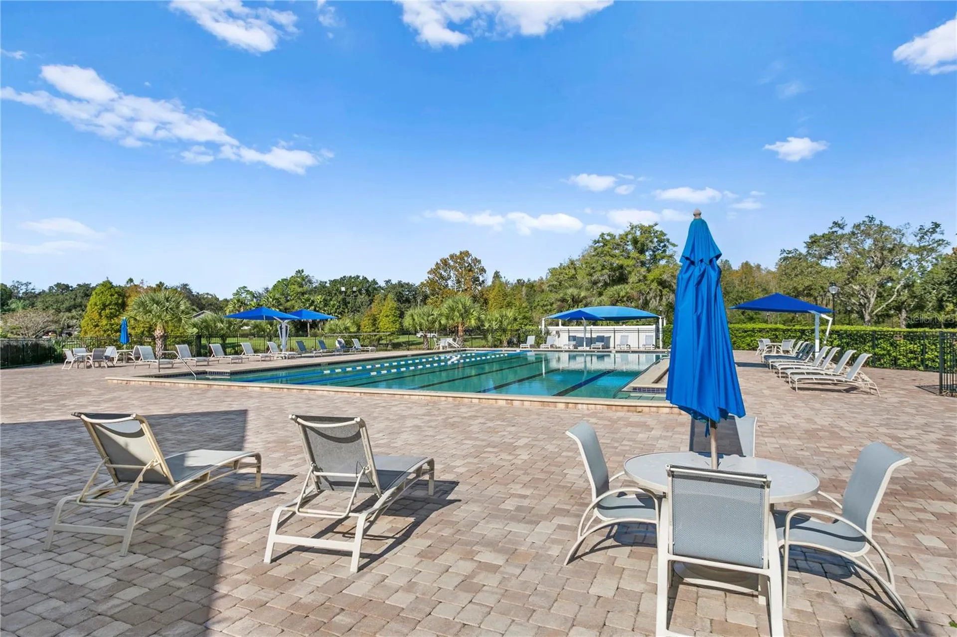 5021 Wesley Drive Tampa FL 33647