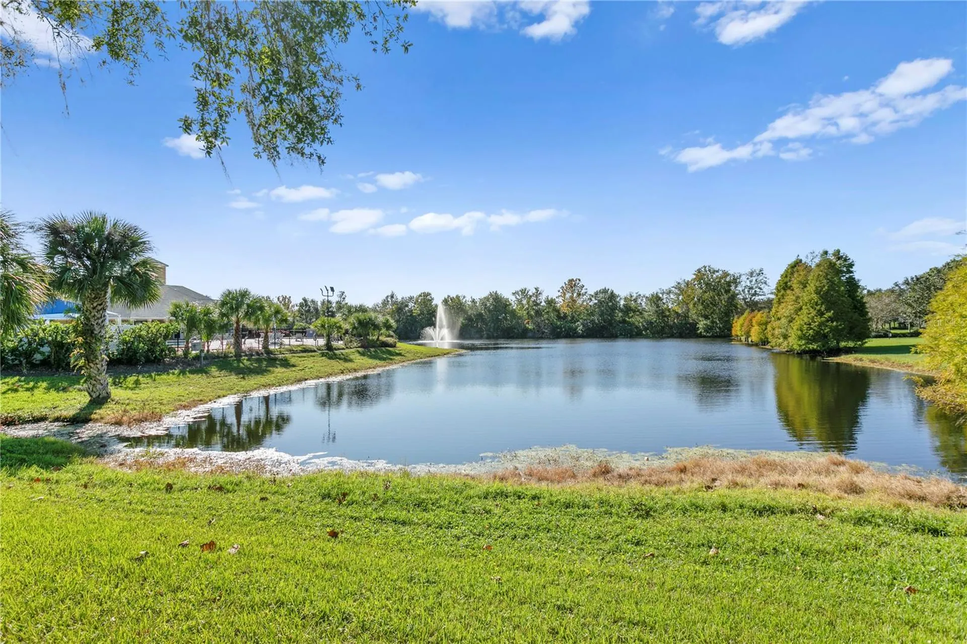 5021 Wesley Drive Tampa FL 33647