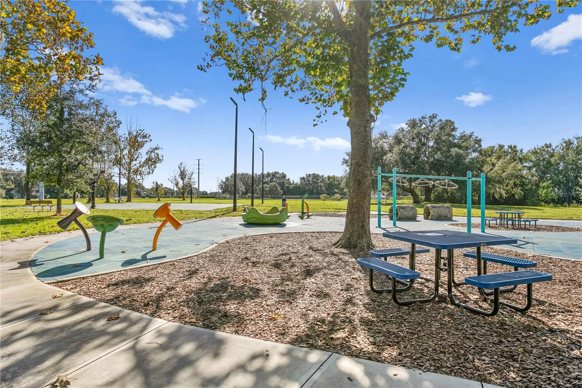 5021 Wesley Drive Tampa FL 33647
