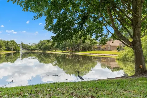 5021 Wesley Drive Tampa FL 33647