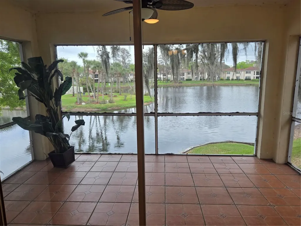 10350 Carrollwood Lane Tampa FL 33618