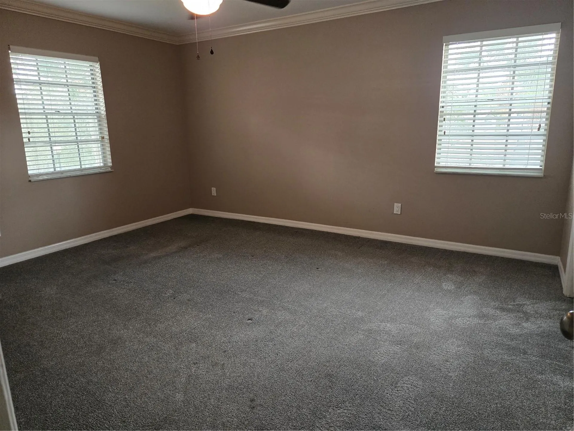 10350 Carrollwood Lane Tampa FL 33618