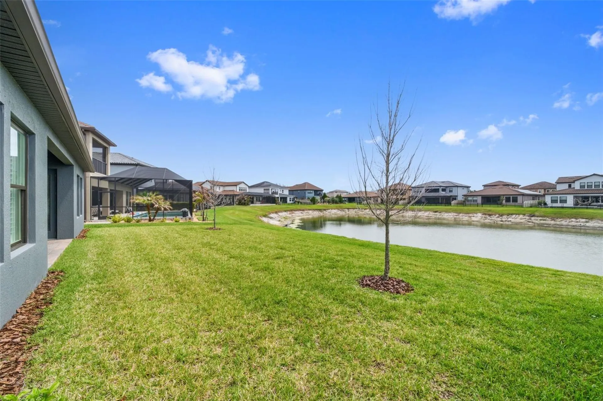 29657 Picana Lane Wesley Chapel FL 33543