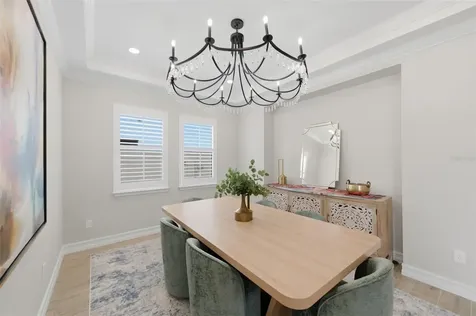 29657 Picana Lane Wesley Chapel FL 33543