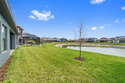 29657 Picana Lane Wesley Chapel FL 33543