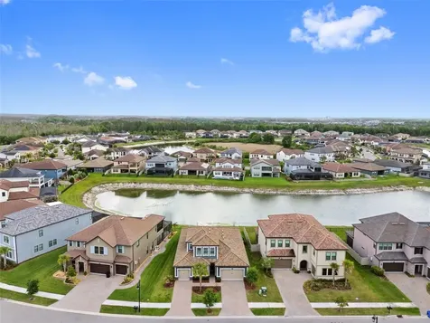 29657 Picana Lane Wesley Chapel FL 33543