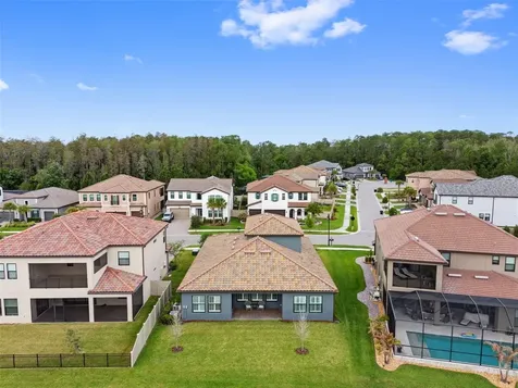 29657 Picana Lane Wesley Chapel FL 33543