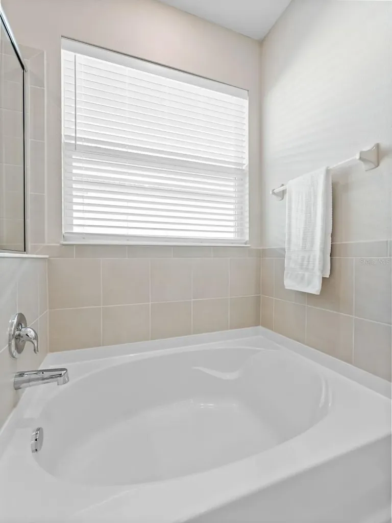 33700 Hamilton Hill Lane Wesley Chapel FL 33545