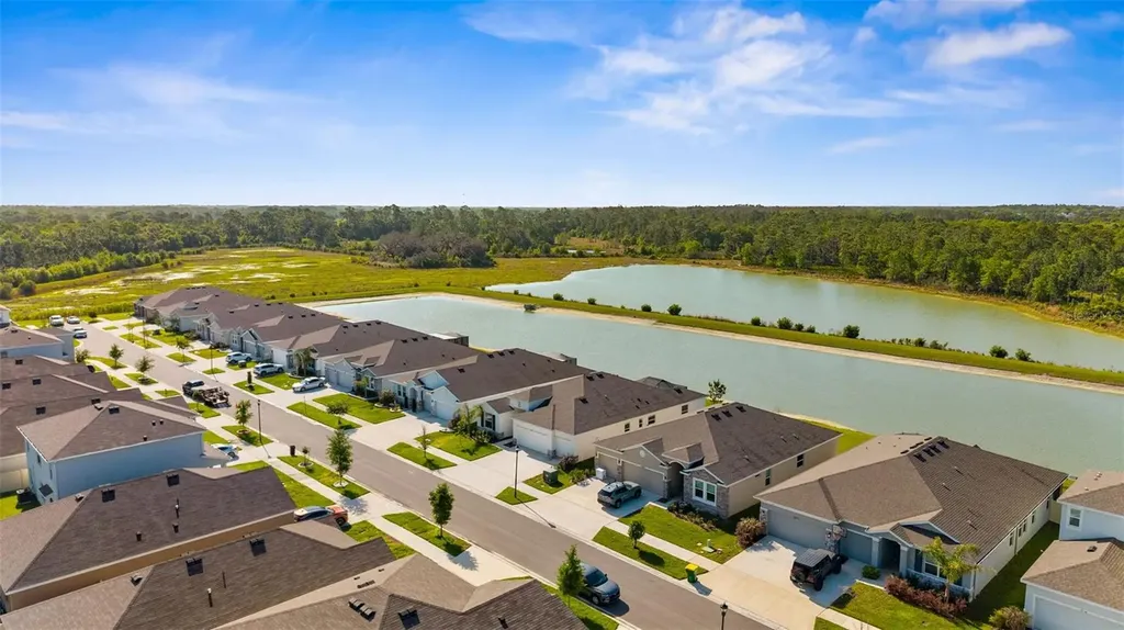33700 Hamilton Hill Lane Wesley Chapel FL 33545