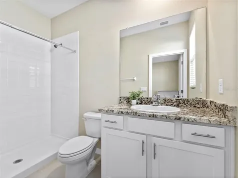 33700 Hamilton Hill Lane Wesley Chapel FL 33545