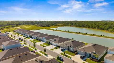 33700 Hamilton Hill Lane Wesley Chapel FL 33545