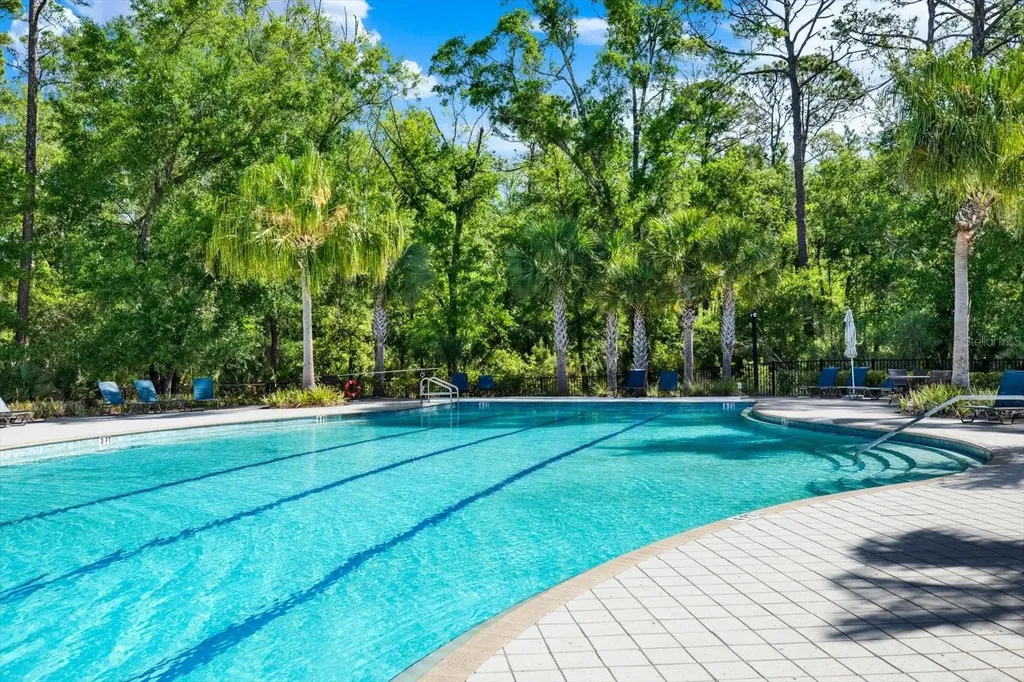 16930 Storyline Drive Land O Lakes FL 34638