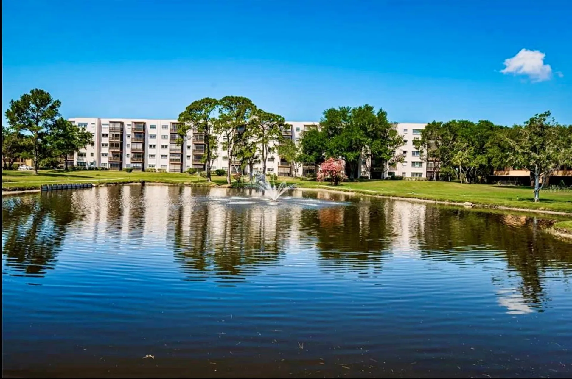 5970 80th Street N St Petersburg FL 33709