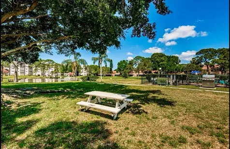 5970 80th Street N St Petersburg FL 33709