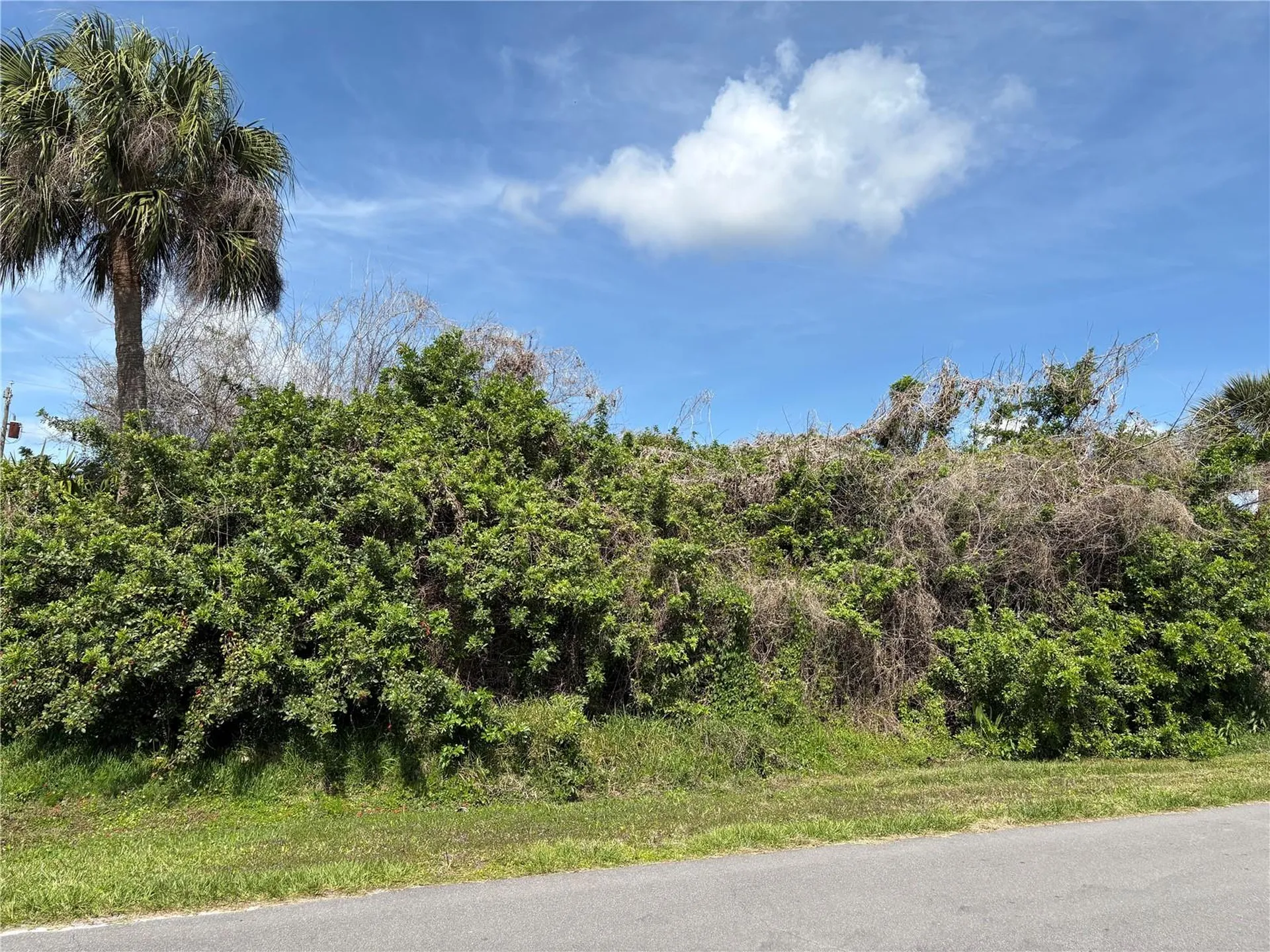 6159 Avila Street Englewood FL 34224