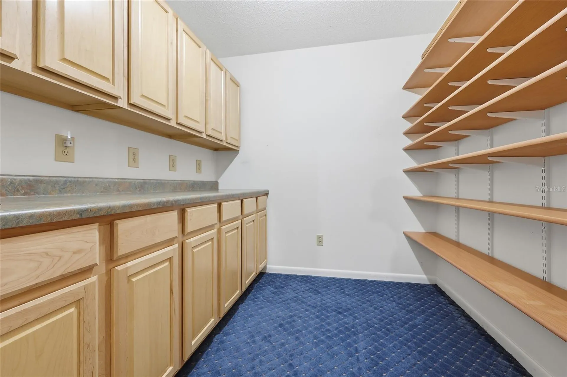 295 SW Blueberry Place Lake City FL 32024