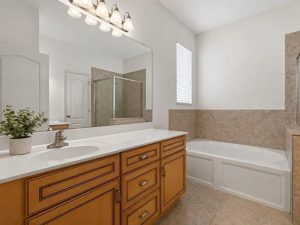 3839 Grecko Drive Wesley Chapel FL 33543