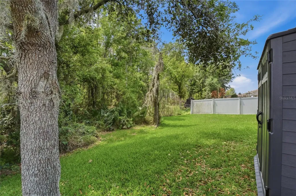 3839 Grecko Drive Wesley Chapel FL 33543