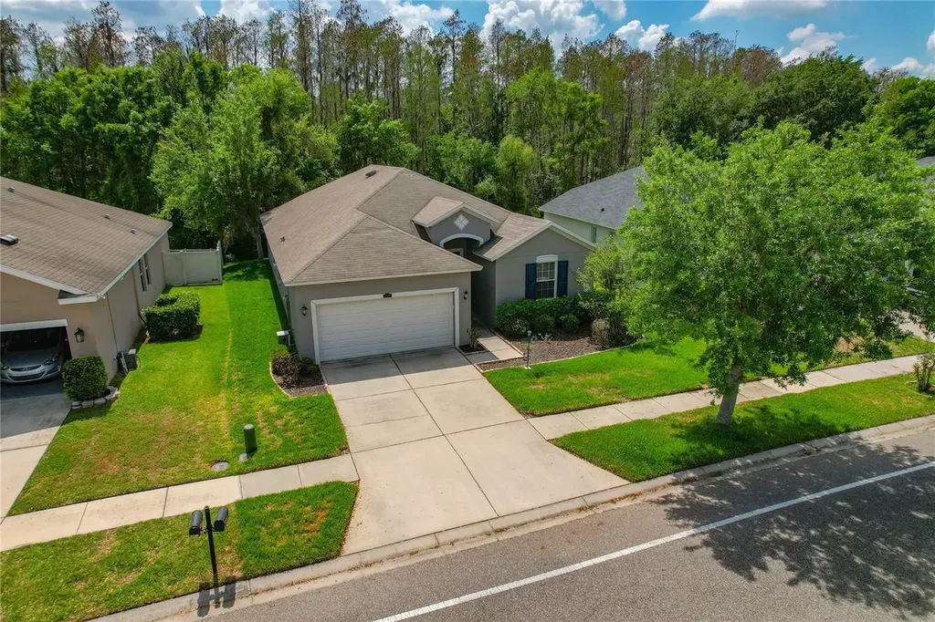 3839 Grecko Drive Wesley Chapel FL 33543