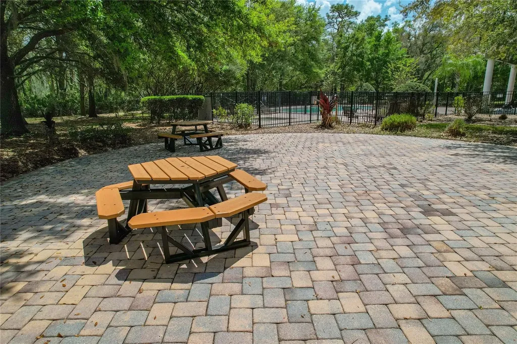 3839 Grecko Drive Wesley Chapel FL 33543