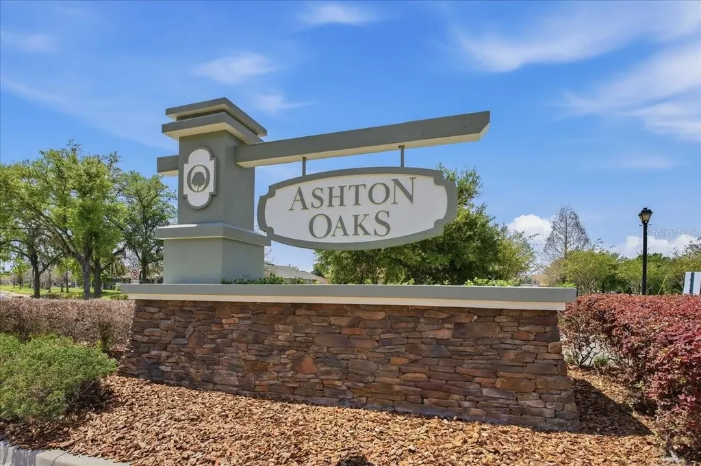 3839 Grecko Drive Wesley Chapel FL 33543