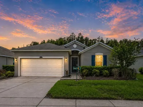 3839 Grecko Drive Wesley Chapel FL 33543